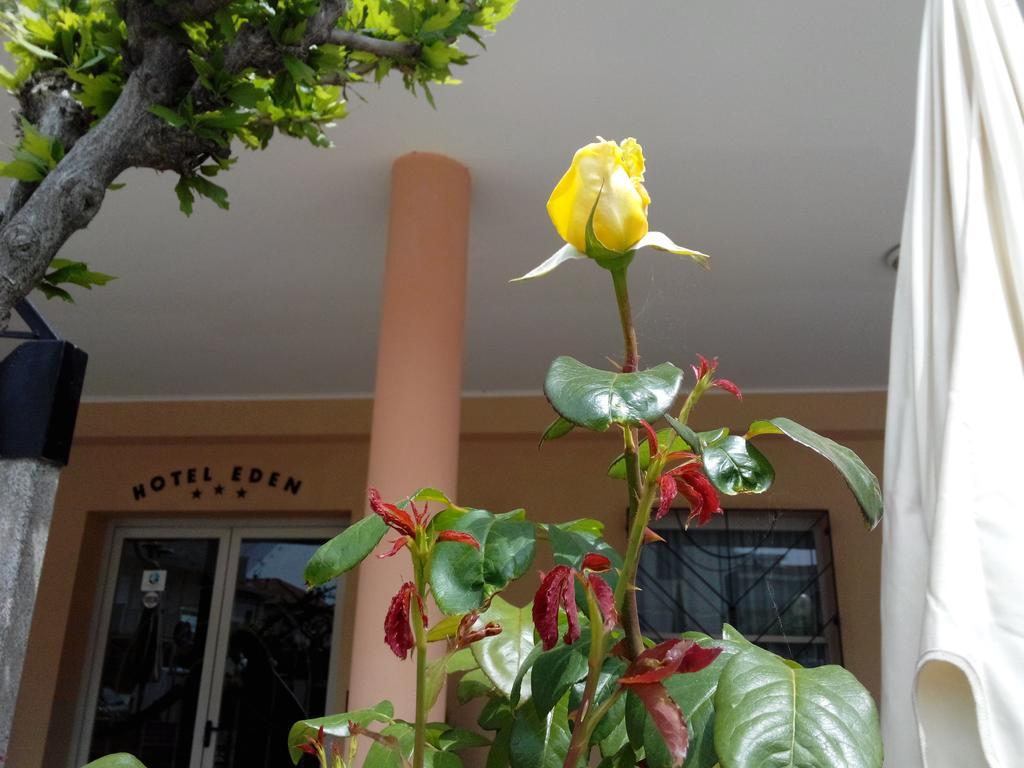 Hotel Eden Viserbella di Rimini Buitenkant foto